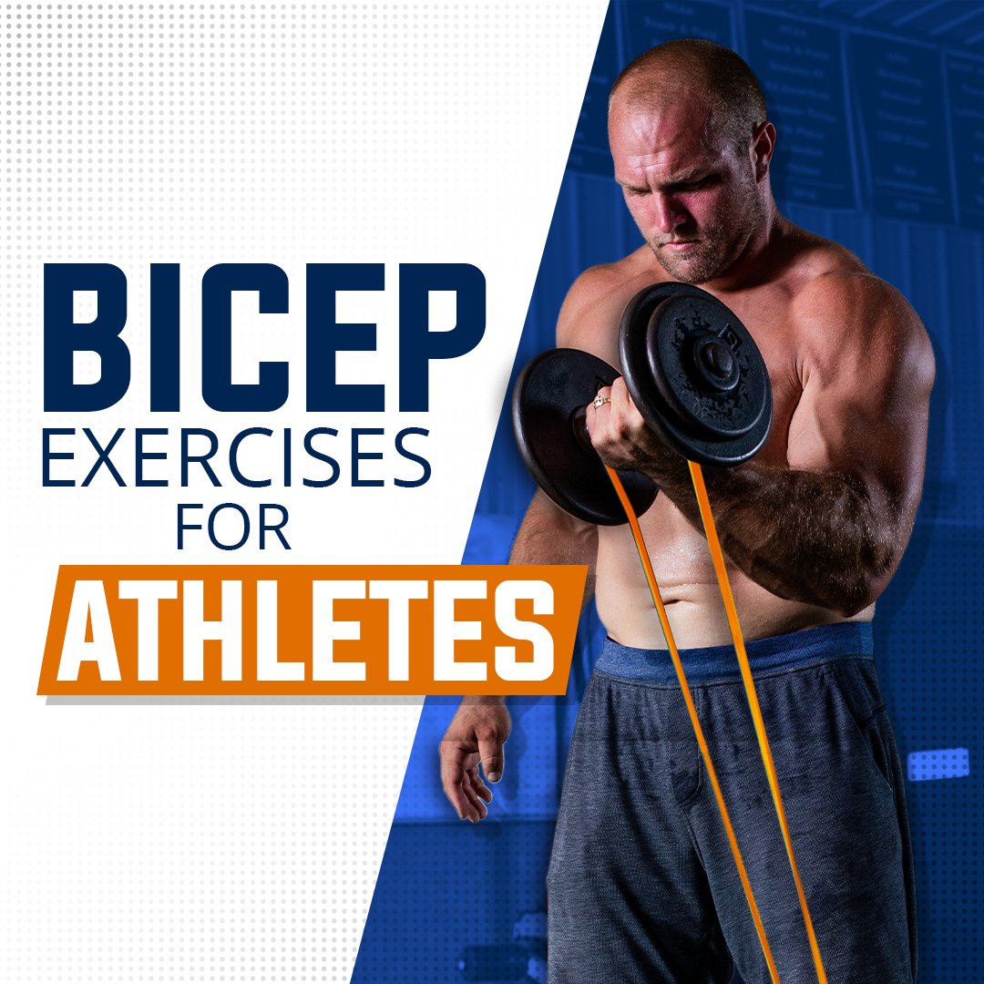 workouts for biceps