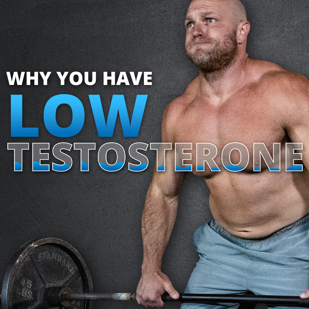 Why Your Testosterone Is Low - And What Your Can Do About It – Garage ...