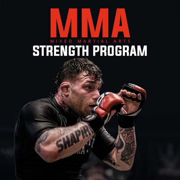 8 week best sale mma training program